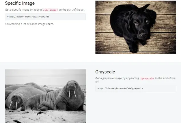 Picsum.photos